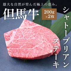 【但馬牛・A5ランク雌牛】黒毛和牛シャトーブリアンステーキ 400g（200g×2枚）ギフト・BBQ・お祝い・贈答用