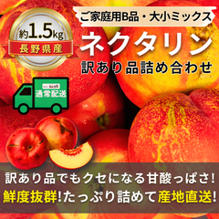 ネクタリン〜訳あり品詰め合わせ〜【内容量】約1.5kg【配送方法】通常配送【サイズ】ミックス【品目】ネクタリン【品種】ミックス【産地】長野県【規格】ご家庭用B品【詰め方】パック詰め【配送までの日数】1～4日
