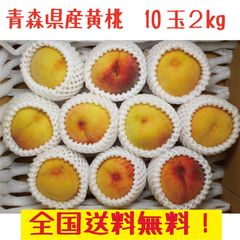 青森県産　黄桃　訳あり　7～12玉前後　２ｋｇ　　クール便送料無料