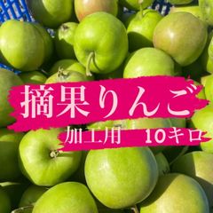 摘果りんご　ジョナゴールド　加工用10キロ