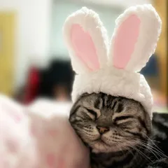 I539 うさ耳コスプレ 猫キャップ 子犬帽子 コスプレ ハロウィーン うさぎ耳