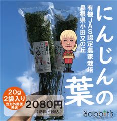人気NO1】【乾燥】特撰無農薬オーツヘイ70g ラビッツ - メルカリ