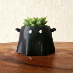 🐙メンダコ鉢🐙　 ハオルチア　雪の華　多肉植物　鉢ごと発送