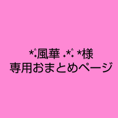 *֒˖風華 ˖*֒˖ *様　専用おまとめページ
