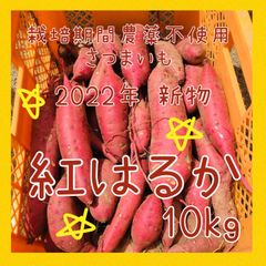【新物】サツマイモ 紅はるか 10kg さつまいも【栽培期間農薬不使用野菜】