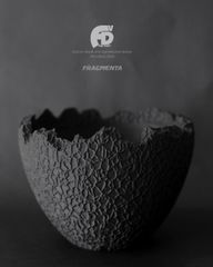 早い者勝ち！国内実生ウィンゾリーと3Dプリンター鉢付き！メルカリ便込み！ 早い者勝ち！国内実生ウィンゾリーと3Dプリンター鉢付き