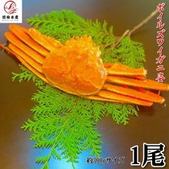 本ずわいがに 姿 約300g前後サイズ 1尾 ボイル済み 冷凍品 ロシア産 北海道加工 ズワイガニ　ずわいがに 蟹 かに ズワイ ずわい 母の日 父の日 お中元 お歳暮 ギフト 備蓄