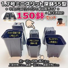 1.7号ミニスリット深鉢55型(高機能スリット鉢)★(直径φ5(対角5.5))：黒・半透明(クリアー)・混色150鉢セット＊プレステラ75型よりコンパクト＊多肉植物・塊根植物コーデックス・アガベ・サボテン・ハオルチア・観葉・実生・さし芽＠フラワーショップ江口