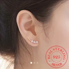 ホット スター クリスタル キュービックジルコニア シルバー925 保存袋付き