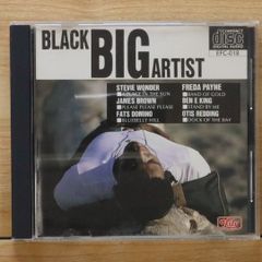 国内盤CD★オムニバス/Various Artists■ BLACK BIG ARTIST 【EFC003/4961590500898】I23425