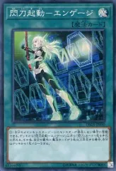 遊戯王カード ダークセイヴァーズ BOX シュリンク付 Amazon.co.jp: 遊戯王OCG デュエルモンスターズ デッキビルド