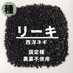 【種】リーキ　西洋ネギ　農薬不使用　70粒