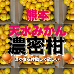 2024年最新】みかんさんの人気アイテム - メルカリ