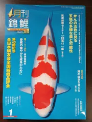 2024年最新】月刊錦鯉の人気アイテム - メルカリ