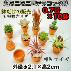 超ミニミニ豆テラコッタ鉢-0.7号(外径φ2.1×高さ2cm素焼き鉢風)×10鉢セット＊ミニ鉢に特化した品揃え！※エアプランツや多肉植物は付属しません＠フラワーショップ江口