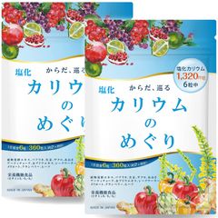 【2袋セット】【医師監修】カリウム サプリメント 60日分 塩化カリウム 1袋79200mg 360粒 6粒で1320mg 日本製 塩化カリウムのめぐり ヒハツ 栄養機能食品 モンドセレクション金賞受賞