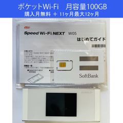 ポケットWi-Fi Speed Wi-Fi NEXT W05 月容量100GB／1年使い放題