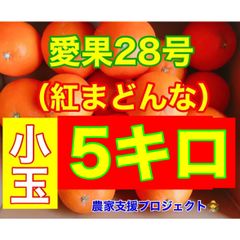 愛果28号　小玉5キロ