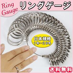 リングゲージ 日本規格 サイズゲージ 指輪ゲージ レディース メンズ ペアリング 日本規格 1号から28号まで測れる プロ仕様