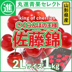 【鮮やかな紅色】さくらんぼ　甘味と酸味のバランス　佐藤錦　さくらんぼの王様　山形県産　約1.0kg　大玉　2Lサイズ　丸進青果セレクト