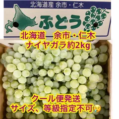2025年最新】余市ワインの人気アイテム - メルカリ