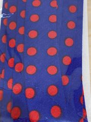 goma様専用＊バイアス25＊明るめブルー地に赤いドット2点