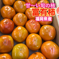 福岡県産　富有柿　5kg 柿
