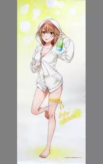 [중고] 태피스트리 일색 이로하 신작 거의 등신대 태피스트리 목욕 올라 ver
