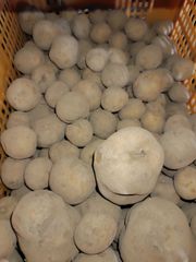 越冬ジャガイモ「とうや」5kg