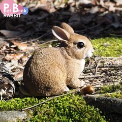 PET BANK ウサギ 貯金箱 インテリア 置き物 かわいい JAZA寄付 RABBIT magnet マグネット