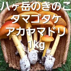 北海道産　アカヤマドリ2kg 2025年最新】アカヤマドリの人気アイテム - メルカリ