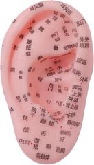 Item thumbnail for item 2ec7caf9-7661-467a-9388-455d8ff793c1