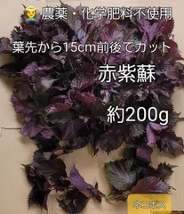 2025年最新】梅 収穫 ネットの人気アイテム - メルカリ