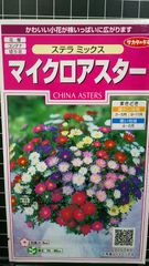 マイクロ アスターステラ ミックス 種 ３袋セット