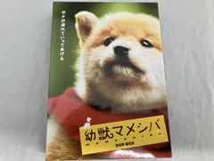2025年最新】幼獣マメシバの人気アイテム - メルカリ