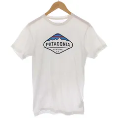 2024年最新】PATAGONIA パタゴニア Tシャツ FITZ ROY HORIZONS