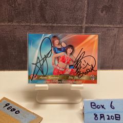 2013 BBM 相川亮二 31/75 直筆サイン 東京ヤクルトスワローズ