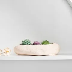 モダン シンプル サボテン 多肉植物植木鉢 寄せ植え 陶器 北欧 観葉植物 プランター 横長 かわいい おしゃれ おすすめ 装飾 フラワーポット ガーデンポット ベージュ am