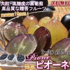 【予約：8/1～8/30予定】ピオーネ 山梨県・長野県・岡山県産 大粒限定 種無し葡萄 約1.5kg 2～3房入り 秀品 化粧箱入り 上品な香りと味わいの贈答用ぶどう！ ブドウ