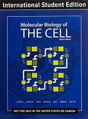 クラニオセイクラル・バイオダイナミクス VOL.2 フランクリン・シルズ; 森川 ひろみ Amazon.co.jp: クラニオセイクラル・バイオダイナミクス VOL.2