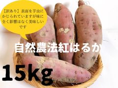 【訳あり】自然農法『紅はるか』(15kg)