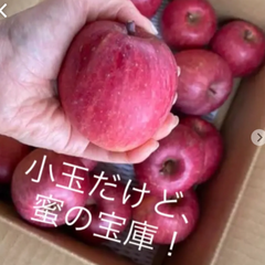 減農薬栽培山形県東根市産5キロ 満タンりんご小玉なるべくの蜜入りバラ詰め