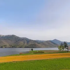 【専用品】チャビ様