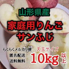 【大玉10kg以上】山形県産 サンふじ りんご 箱重量込  家庭用 大容量