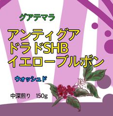 グアテマラ🇬🇹アンティグア　ドラドSHB