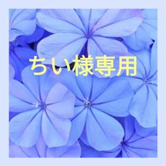 ちい様専用 - メルカリ