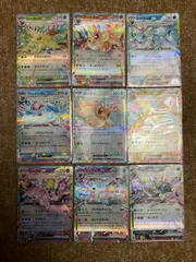 ブイズ　RR  9種類セット