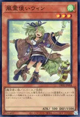 2025年最新】スターチップ 遊戯王 ウィンの人気アイテム - メルカリ