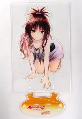 2025年最新】To LOVEる―とらぶる― ダークネス 14 の人気アイテム