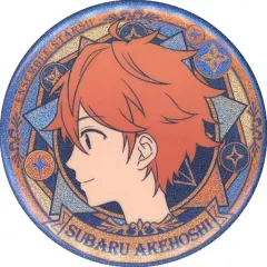 あんスタ あんさんぶるスターズ 中国 ブローチ ピンズ バッジ あんスタ あんさんぶるスターズ 中国 ブローチ ピンズ バッジ